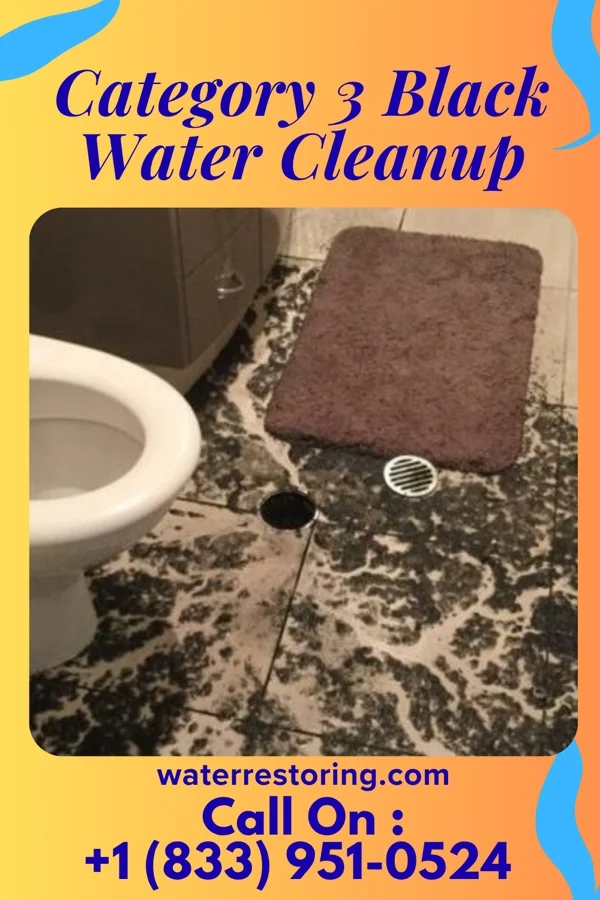 Category 3 Black Water Cleanup in Ryan Park, WY