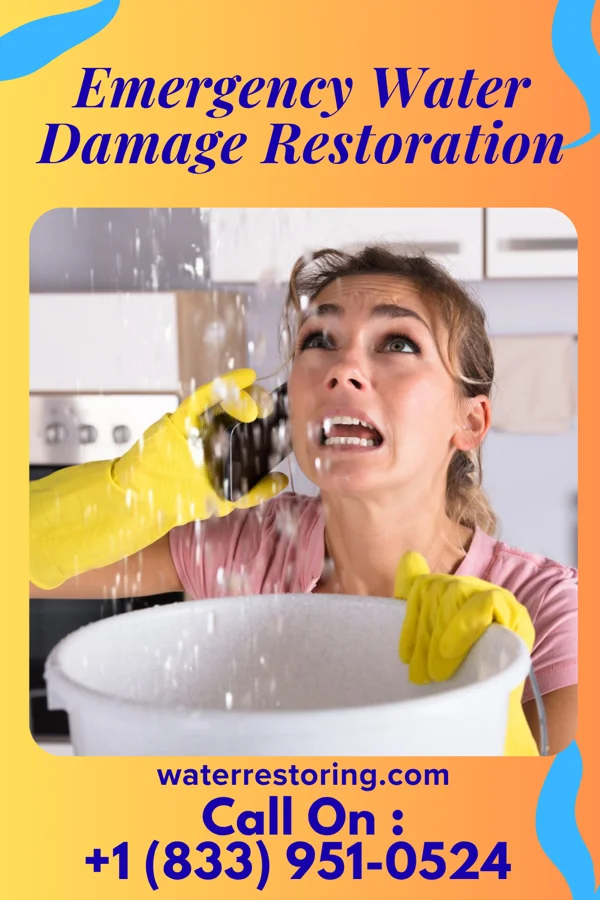 Emergency Water Damage Restoration in Ryan Park, WY